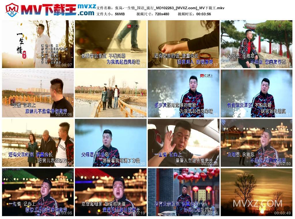 张岚-一生情_国语_流行_MD102263